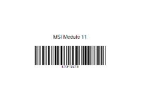 MSI modulo 11