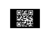 QR code fill styles