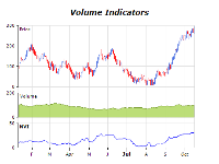 Volume indicators chart negative volume index