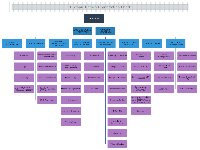 Olympic Games Org Chart