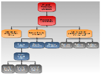 Organization diagram 2