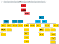 School District Org Chart