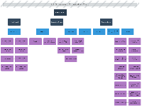 US Government Org Chart