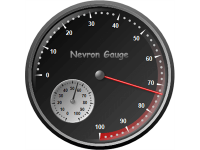 Radial gauge 13